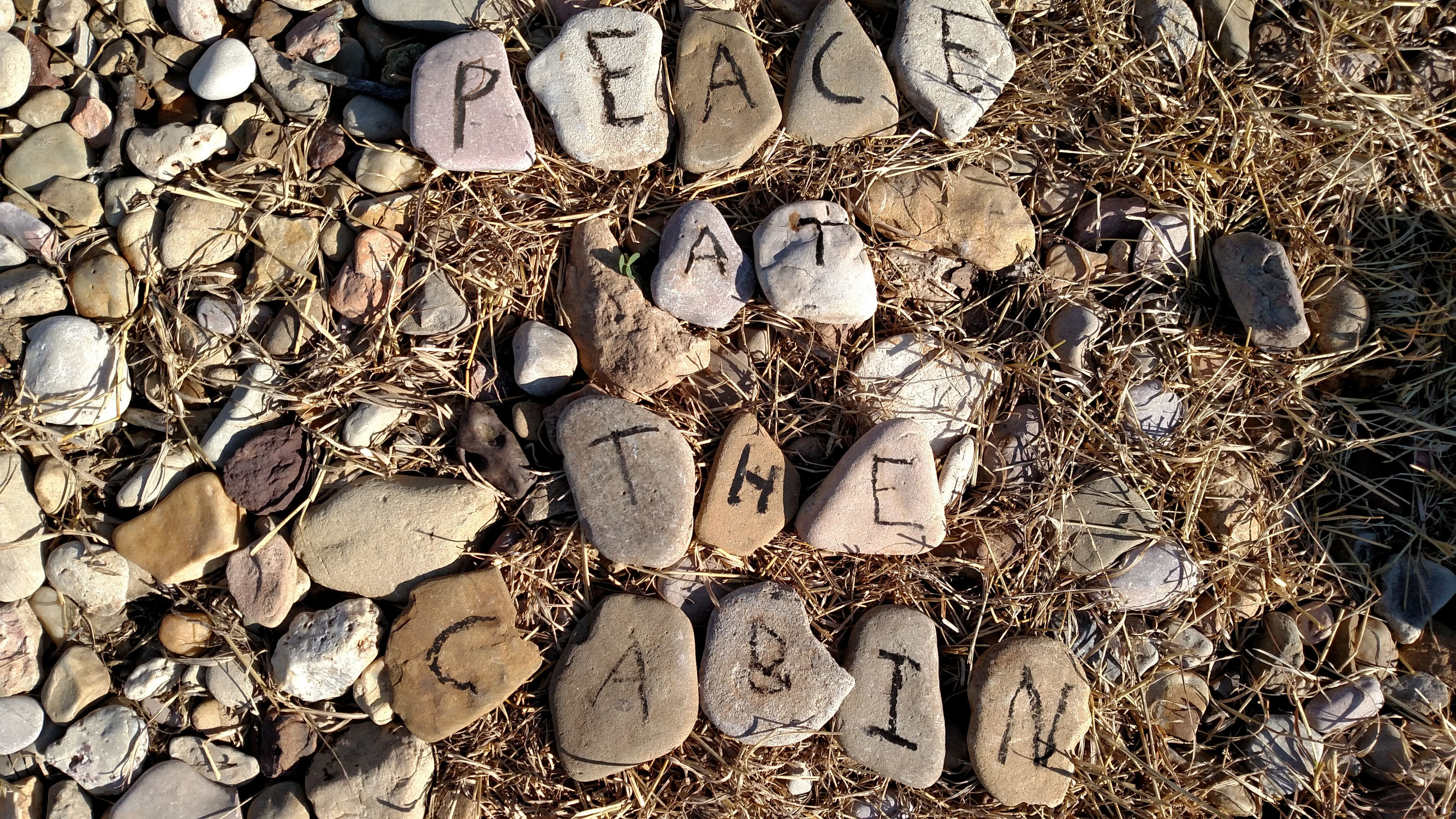 Peace at the Cabin